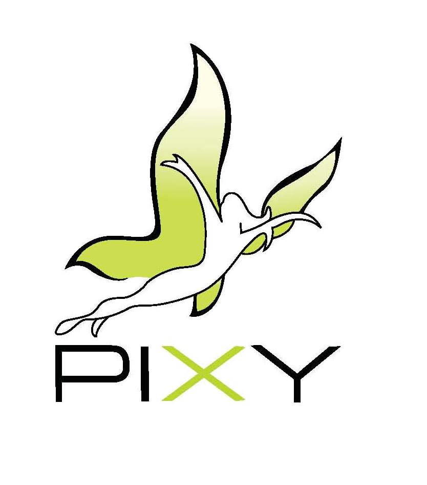 LOGO PIXY